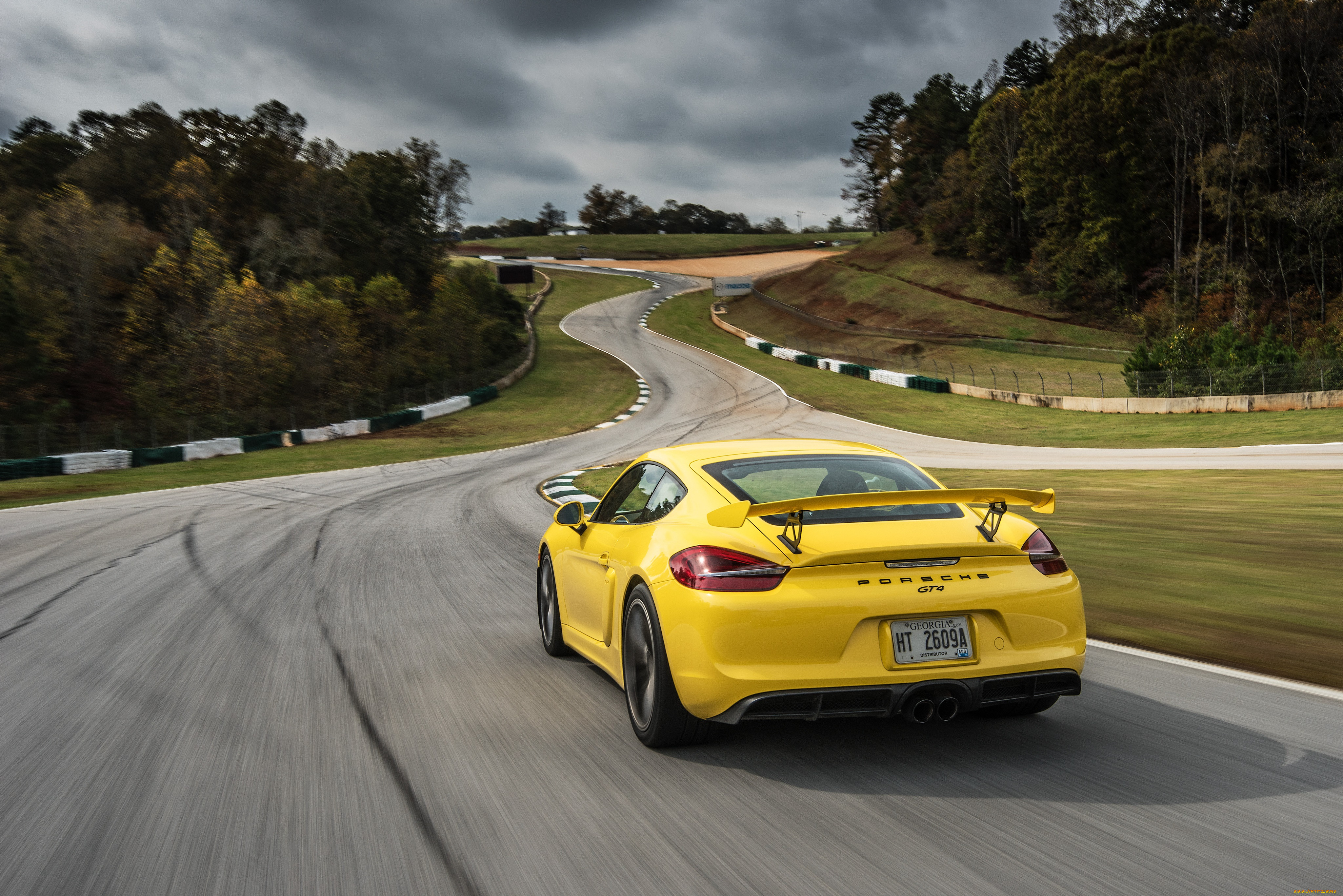 Cayman gt4 981